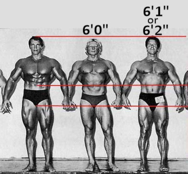 How tall is Arnold Schwarzenegger