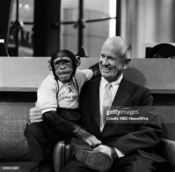 J. Fred Muggs, The Chimpanzee That Saved NBC's 'Today' Show