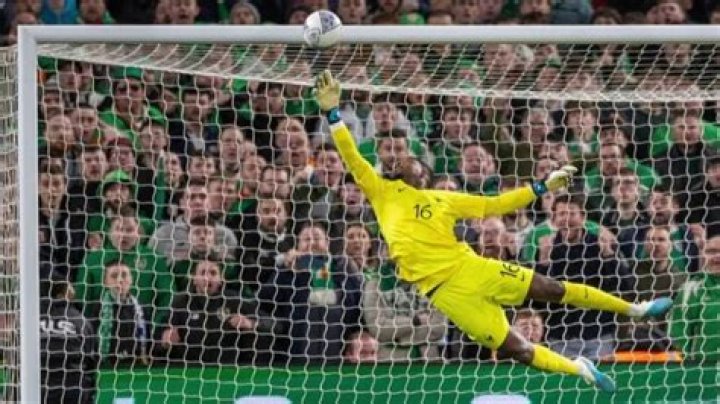 Mike Maignan Origine