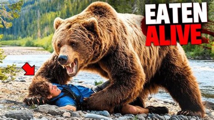 The 'Grizzly Man' Eaten Alive By Bears