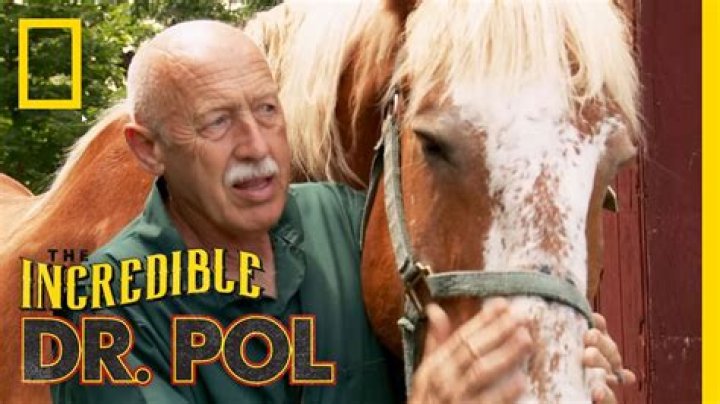 What Happened to Dr. Sandra on Dr. Pol? Why did she leave the show? Where is she now and what is she doing? 2022